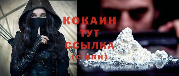 индика Белокуриха