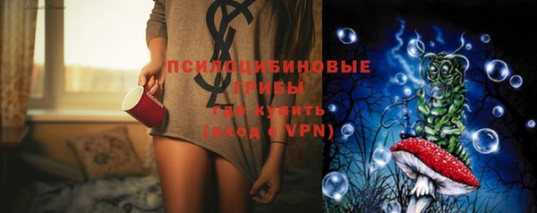 индика Белокуриха