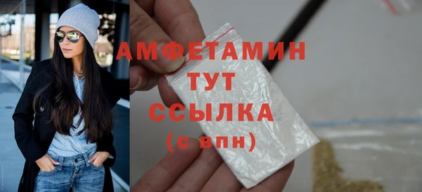 индика Белокуриха