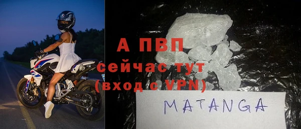 индика Белокуриха